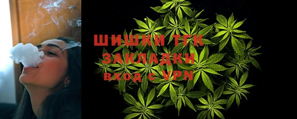 твердый Магас