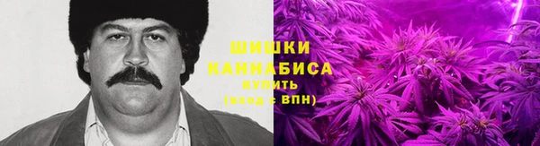 гидропоника Медногорск