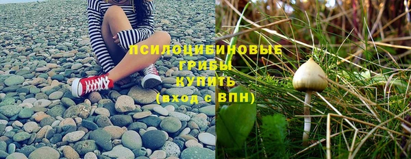 каннабис Тобольск