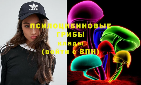 COCAINE Медвежьегорск